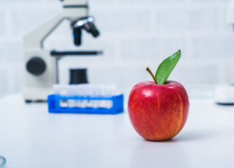 Chemical Laboratory of the Food supply.Food in laboratory, dna modify.
