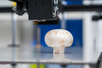 Mushrooms(champignon) in a 3D printer .Organic 3D printing.
