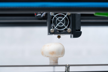 Mushrooms(champignon) in a 3D printer .Organic 3D printing