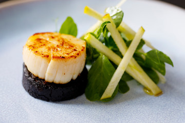 Scallops with black pudding and apple and pea shoots salad