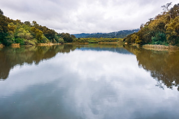 Fototapeta na wymiar Searsville Lake located in Jasper Ridge Biological Preserve on a cloudy day, San Francisco bay area, California