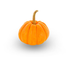 yellow pumpkin isolated on  white background