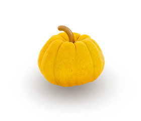 yellow pumpkin isolated on  white background
