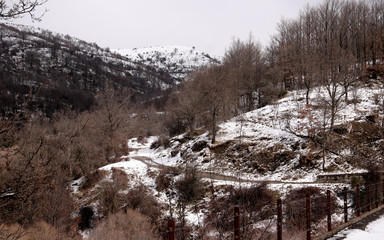 Winter Landscape In Nebrodi Park, Sicily