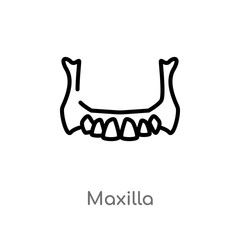outline maxilla vector icon. isolated black simple line element illustration from dentist concept. editable vector stroke maxilla icon on white background © zaurrahimov