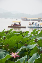 Fototapeta na wymiar Pink lotus flower, leaves in foreground; boats on misty lake