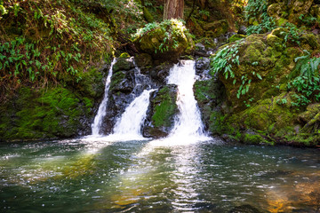 Waterfall on the Cataract trail in Marin Municipal Water District, Marin county, north San...