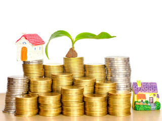 house model and step of coins with plant growing,saving and investment or family planning concept