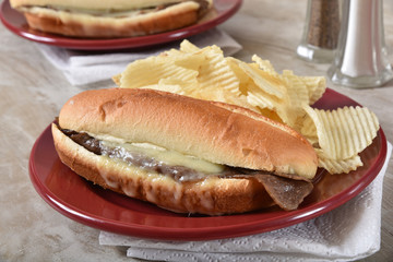 Philadelphia Steak and Cheese Sandwich