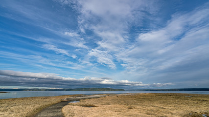 Tidal Lands Marsh On Puget Sound