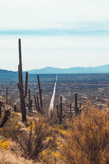 view of mountains