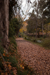 path