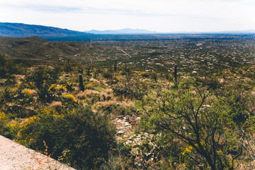 view of mountains