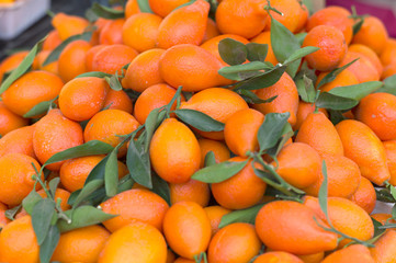 mandarinquats at farmers market