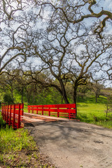A new red bridge on a narrow road is built over a creek. A road leads up to the bridge. Bare trees, a pasture and a building under construction is in the distance. A cloudy sky is above. Horizontal