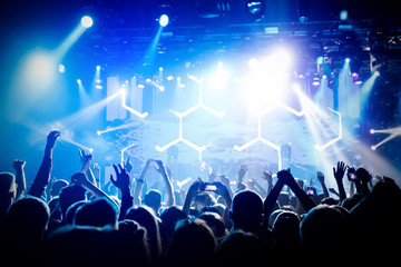 Performace of a popular group. Crowd is dancing and having fun. Bright spotlig