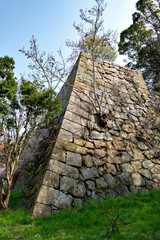 Obraz premium Akashi-jo (Akashi castle) in Hyogo prefecture, Japan