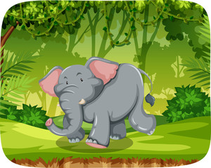 Cute elephant in nature scene