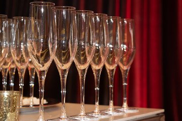 Champagne Glasses