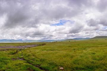 Fototapeta na wymiar Landscape in Nogorongoro