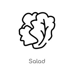 outline salad vector icon. isolated black simple line element illustration from fruits concept. editable vector stroke salad icon on white background