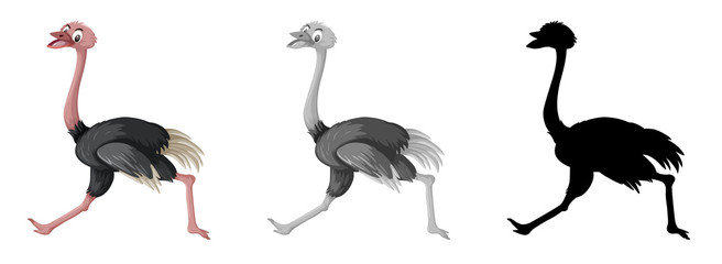 Set of ostrich character