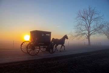 Amish Horse and Buggy with Misty Sunrise - obrazy, fototapety, plakaty