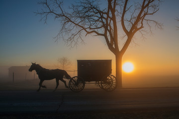 Amish Horse and Buggy at Dawn with Sun on Horizon