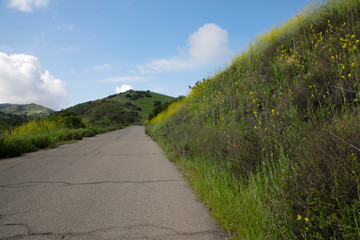 Hiking through the Limestone Canyon Regional Park after a rainy season