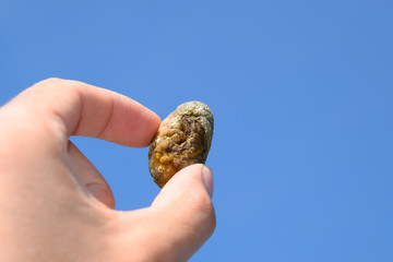 calculus of heterogeneous composition against a blue sky.