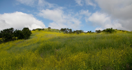 Hiking through the Limestone Canyon Regional Park after a rainy season