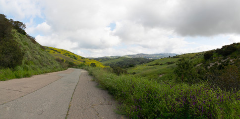 Hiking through the Limestone Canyon Regional Park after a rainy season