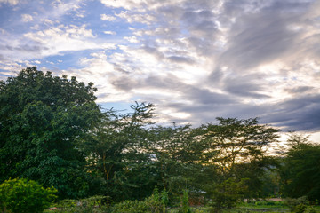 Landscape in Africa