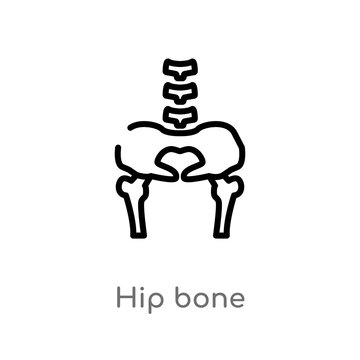 outline hip bone vector icon. isolated black simple line element illustration from human body parts concept. editable vector stroke hip bone icon on white background