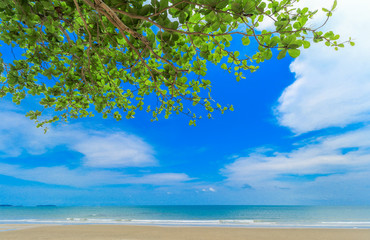 Beach and beautiful sky with tree on top. at Laem-Mae-Phim, Klaeng District, Rayong, Thailand.