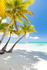 White sandy beach with sea and palms