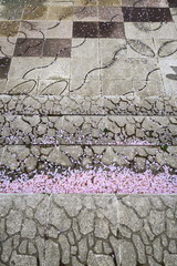 桜の花びら散る噴水広場の石段風景