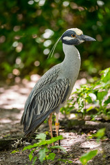 Florida Wildlife Photography.
