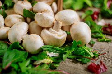 Basket with salad of fresh green leaves, tomato and mushroom champignon on a on rustic wooden table vegetable