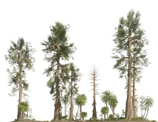 Forest of the mesozoic era isolated on white background 3D illustration