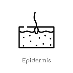 outline epidermis vector icon. isolated black simple line element illustration from medical concept. editable vector stroke epidermis icon on white background