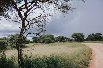 Landscape in Africa