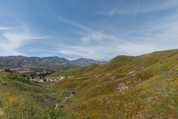Beautiful superbloom vista in the Walker Canyon mountain range near Lake Elsinore, Southern California