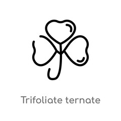 outline trifoliate ternate vector icon. isolated black simple line element illustration from nature concept. editable vector stroke trifoliate ternate icon on white background