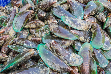 Green mussels (cams) seen at a Thai fishmarket. Thailand, Asia.