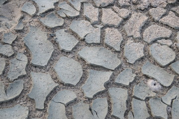 Cracked Surface of the Dried  Sand Beach