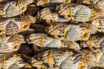 Blue Swimmer Crab At The Fish Market