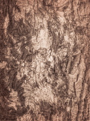 Abstract colored textures and backgrounds