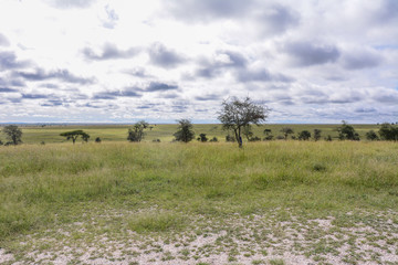 Fototapeta na wymiar Ngorongoro National Park landscape
