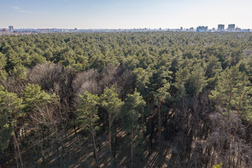Fototapeta na wymiar panoramic scenic view of Minsk cityscape. aerial view